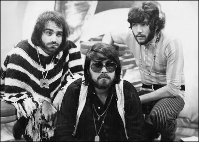 "Rain and tears are the same But in the sun you've got to play the game..." : qui chante "Rain and tears", grand succès de 1968 ?