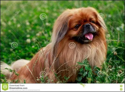 Dans laquelle de ces villes YouTube n'a-t-elle pas d'ambassade ?