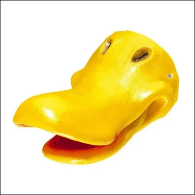 À qui appartient ce bec ?