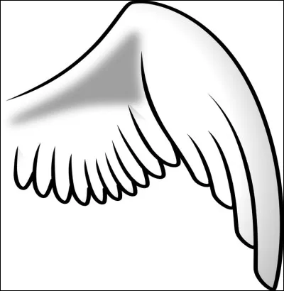 Quel oiseau n'est pas doué pour le vol ?