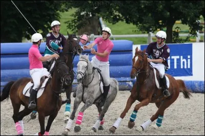 Quelle est cette discipline ?