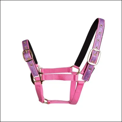 Qu'est-ce que c'est ?