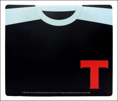 A quelle &eacute;quipe appartient ce maillot ?