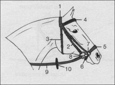 Quel est le nom des numéros 1, 2, 4, 3 ?