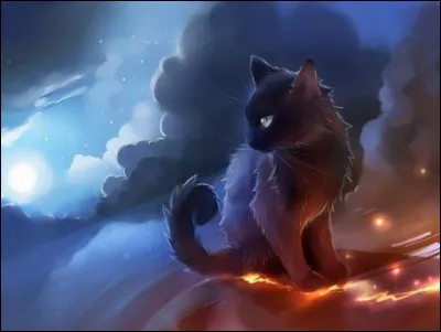 Quel est le nom de guerrier de Nuage Noir ?