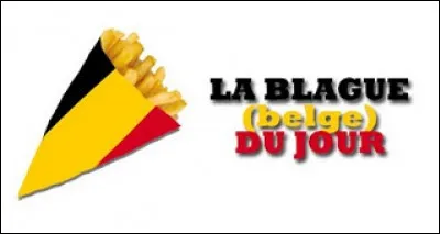 Pourquoi les Belges vont-ils dans l'avion tous nus ? (Bien s&ucirc;r, si tu es Belge et que tu lis ce quizz d&eacute;bile, ne le prends pas pour toi !)