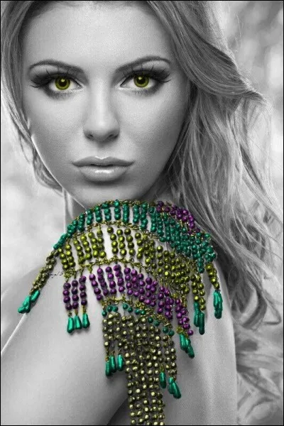 Quelle est la différence entre le mari d'une blonde et un alpiniste ?