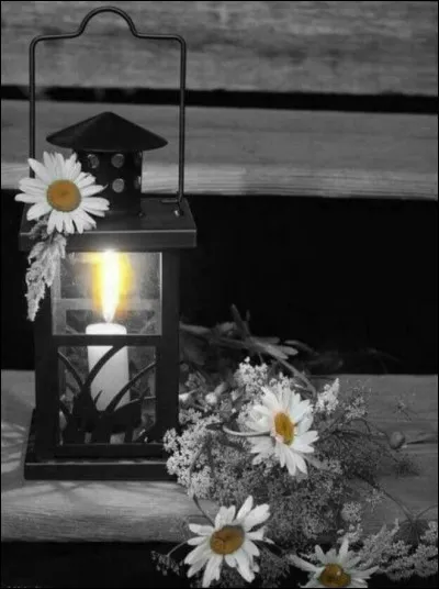 Où ai-je bien pu trouver cette lanterne ?