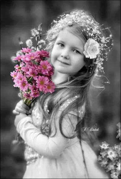 Que vous ai-je apporté, histoire de ne pas arriver les mains vides ?