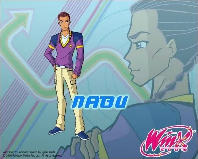 Quel est le spécialiste (paladin) qui remplace Nabu à partir de la saison 5-6 en tant que petit-ami de Layla ?