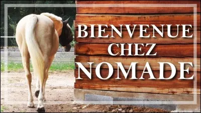 Combien d'écuries a-t-elle faites avec Nomade ?