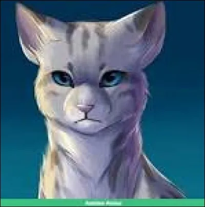 Qui est le mentor de Nuage de Cendre ?