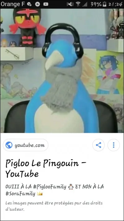 Comment s'appelle le pingouin bleu de Sora ?