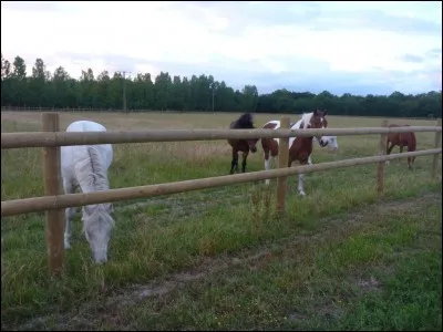 Comment s'appelle cet endroit ? (plusieurs réponses)