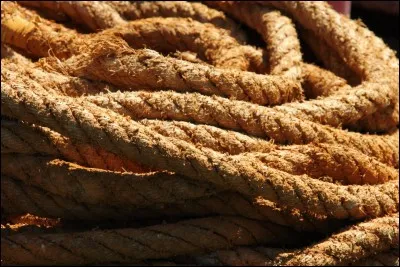 Les sports : J'ai vu le profil des autres candidats, même pas peur, je pense que ...