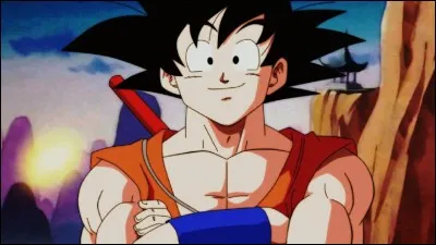 Qui est le premier ma&icirc;tre de Goku ?