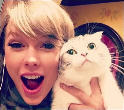 Quels sont les noms de ses chats ? (2018)