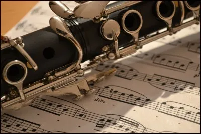 Comment s'appelle ceci en anglais ?