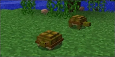 Comment se prénomme ce tout nouveau mob ?