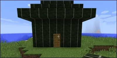 Quel est ce nouveau bloc ?