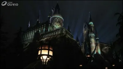 Harry fait ensuite la connaissance du personnel de Poudlard : le concierge Argus Rusard et sa chatte Miss Teigne, Peeves-l'esprit frappeur, mais également des professeurs comme Chourave ou l'ennuyeux professeur Binns, un fantôme qui enseigne l'Histoire de la magie. Mais comment Binns est-il devenu un fantôme ?