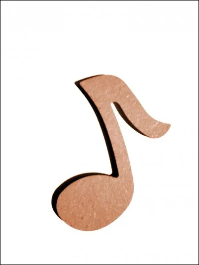 Quel est le style musical de ce groupe ?