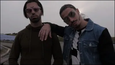 Combien d'albums ont-ils sortis ? (mars 2018)