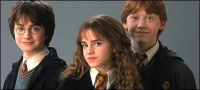 Les parents d'Hermione sont des...
