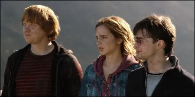 Dans "Harry Potter et l'Ordre du Phénix", comment s'appelle le club que Harry, Ron et Hermione ont créé ?