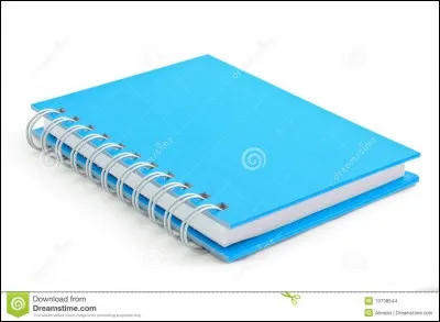 Coche le bon homophone. --------- petits carnets bleus sont dans mon bureau.