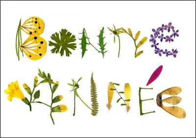 En quelle année l'a-t-il rencontré ?