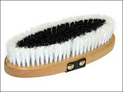 Quel est le nom de cette brosse ?