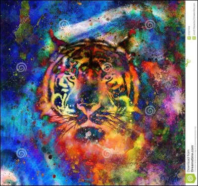 Ta couleur préférée est... ?