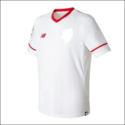 Coche les deux clubs qui n'ont pas ce maillot.