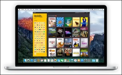 Quel objet les organisateurs du Boréal Loppet utilisent-ils pour confirmer les positions des participants ?