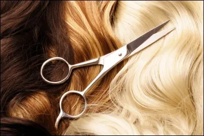 Tu as les cheveux...