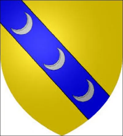 Elle, elle est une sous-préfecture de Meurthe-et-Moselle. Traversée à la fois par la Meurthe, la Vezouze et la Mortagne, elle porte le surnom de "Cité cavalière". Connue pour son château (le Petit Versailles Lorrain), on y découvre son église Saint-Jacques, on peut flâner sur sa Place Léopold ou encore se détendre à la Méridienne (nom du théâtre). Jean-Pierre Coffe est né dans cette ville.