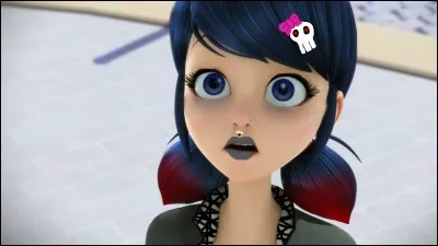 Qu'est-ce que Marinette déteste ?