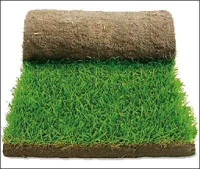 Josiane Balasko, Victoria April et Alain Chabat, trouvez la r&eacute;ponse &agrave; la vitesse d'un coup de boule !