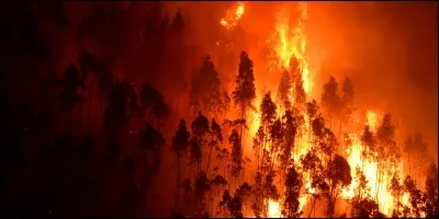 Quel type de propagation est transmis de proche en proche aux autres matériaux en contact ?