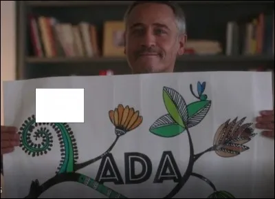 Quelle est la couleur du papillon en haut à gauche ?