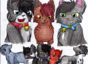 Quiz Quiz sur Fl�au