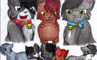 Quiz Litt�rature, po�sie