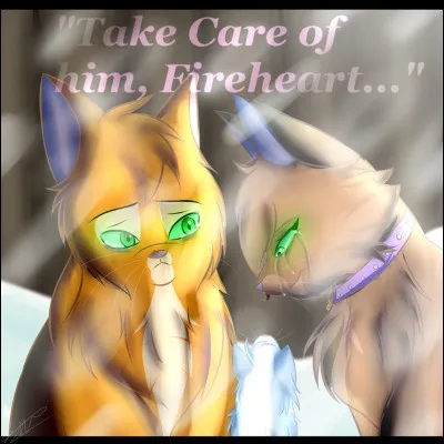 Comment s'appellent les demi-fr&egrave;res et demi-s�urs de Fl&eacute;au ?