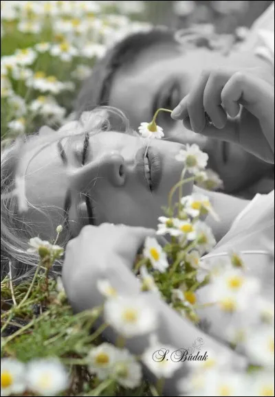 De qui sont les paroles "Bien sûr tu pris quelques amants, il fallait bien passer le temps" ?