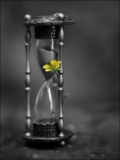 Qui chantait "Au temps glorieux de l'A.O.F., j'avais des ficelles au képi, au temps béni des colonies" ?