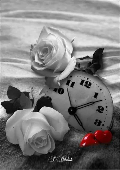 Voici une bribe de sa chanson : "Que les fleurs ont fané, que le temps d'avant, c'était le temps d'avant que si tout zappe et lasse, les amours aussi passent" :