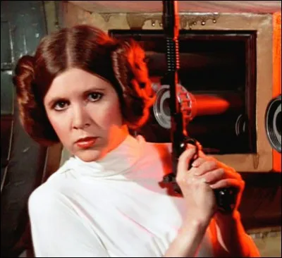 Comment s'appelle le frère de Leia ?