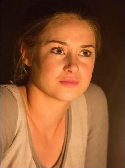 Laquelle n'est pas une peur de Tris ?