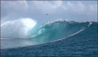 Aimes-tu jouer dans l'eau ?